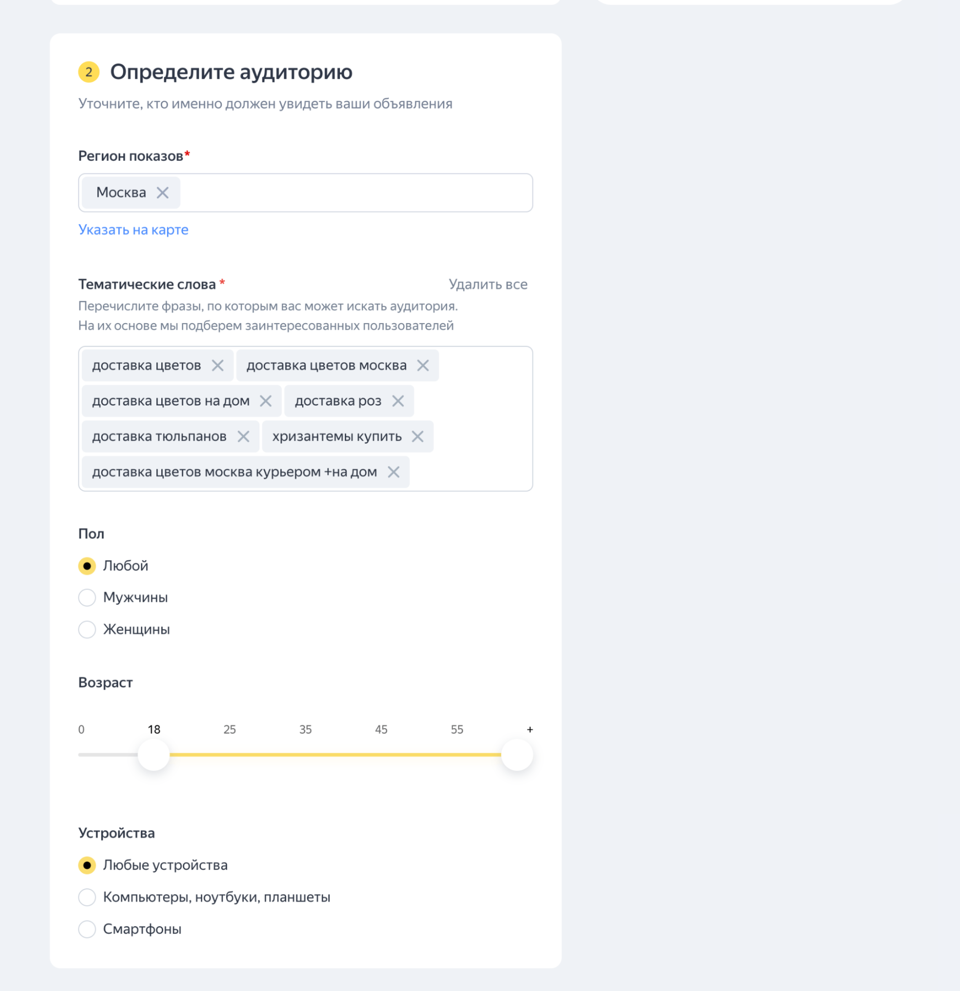 Мастер кампаний Яндекс Директ – настройки аудитории