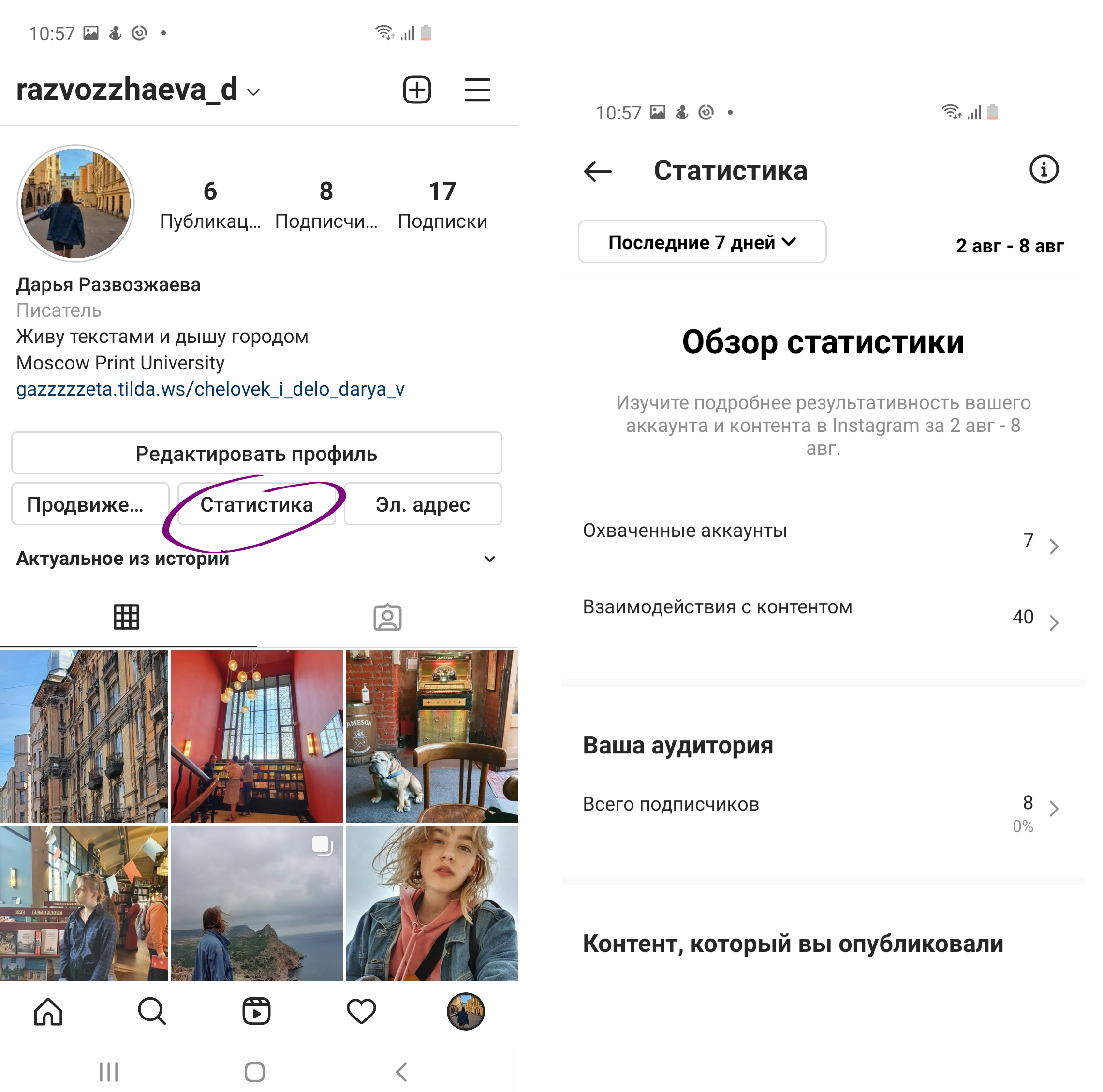 Главное меню статистики в Инстаграме