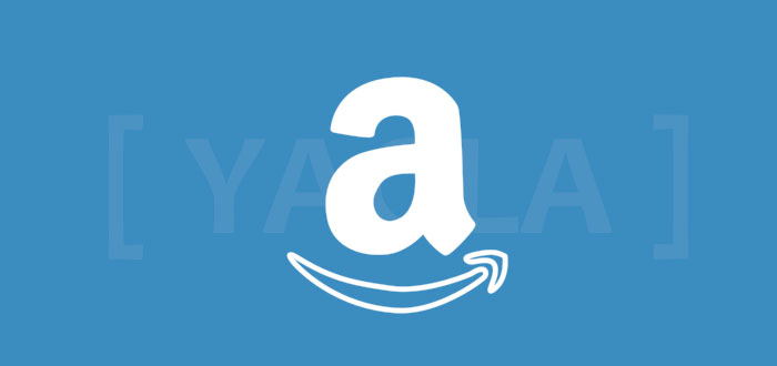 Опыт интернет-магазинов: три урока от Amazon опыт интернет-магазинов