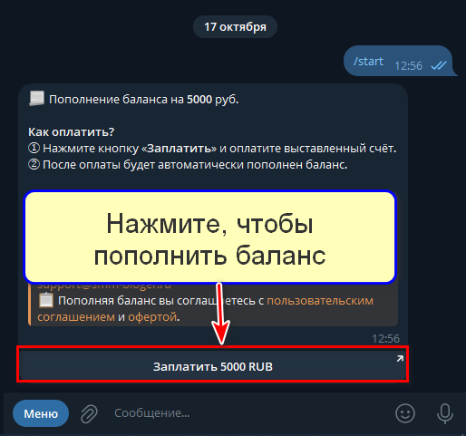 Кнопка "Заплатить"