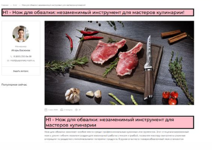 Главная страница без h1, а статьи с двумя h1. Непорядок!