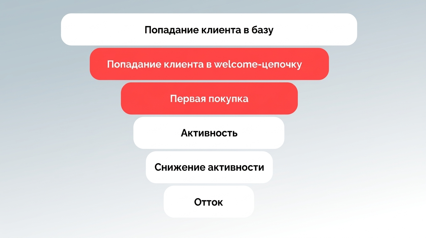 Распределение пользователей по этапам взаимодействия с брендом
